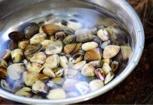 簡易蜆食譜15分鐘煮出大牌檔風味!吐沙哪方法最好