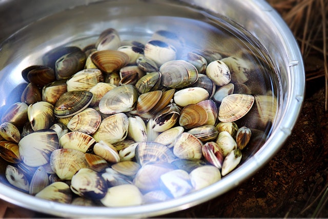 hGrQ-WuisLviDTJ0nE4tlNW7iUJjy2ZEC1MRVQtTEVU